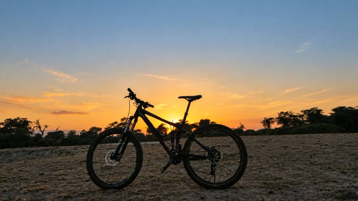 A bicycle resting on the plains as the sun sets over acacia trees